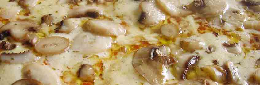 funghi-300x98-1